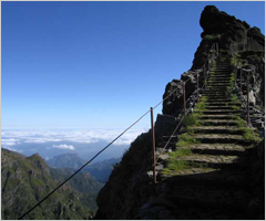 Natur-Wander-Freunde-Madeira